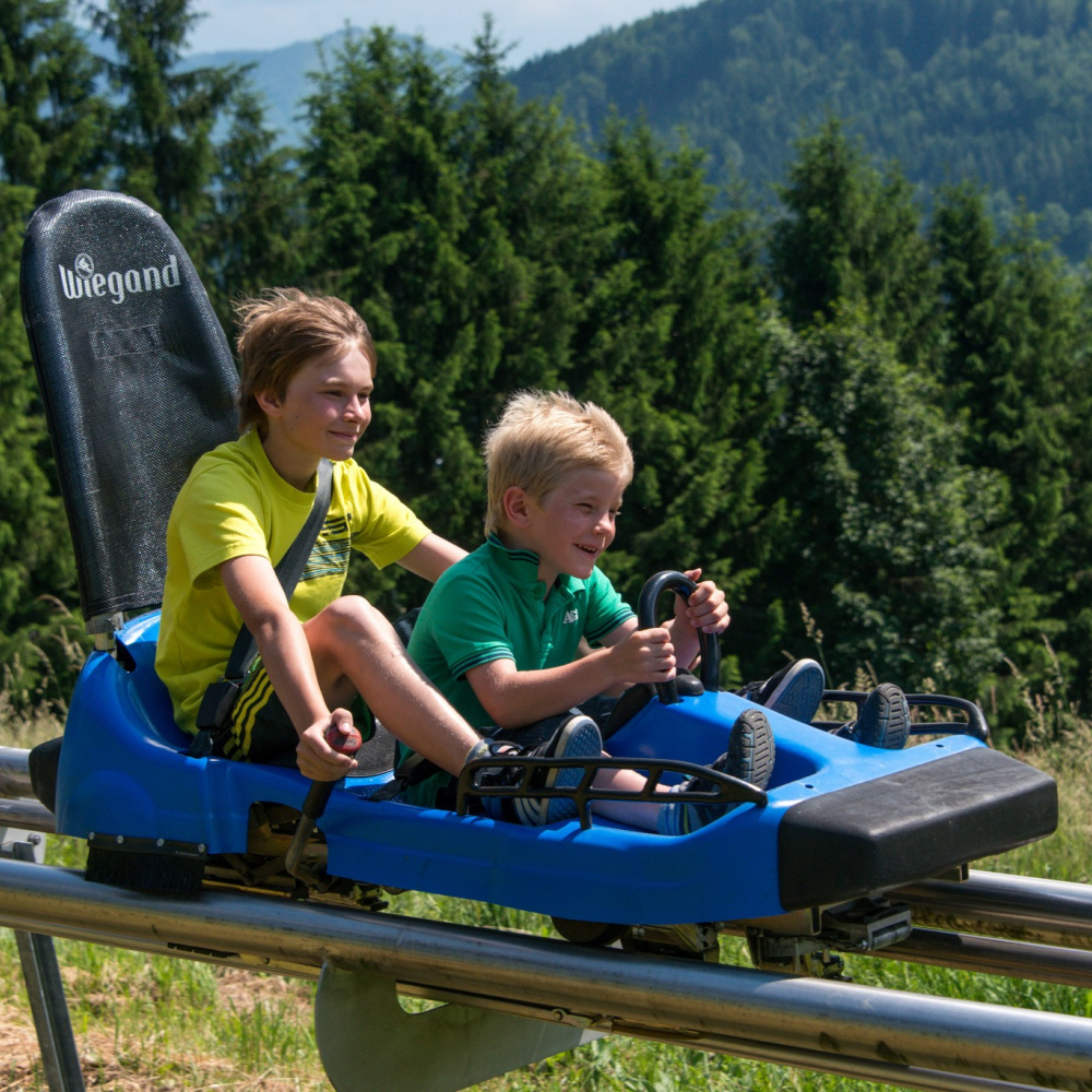 Wurbauerkogel Bus Turm Alpincoster Lindenhof